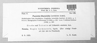Puccinia libanotidis image